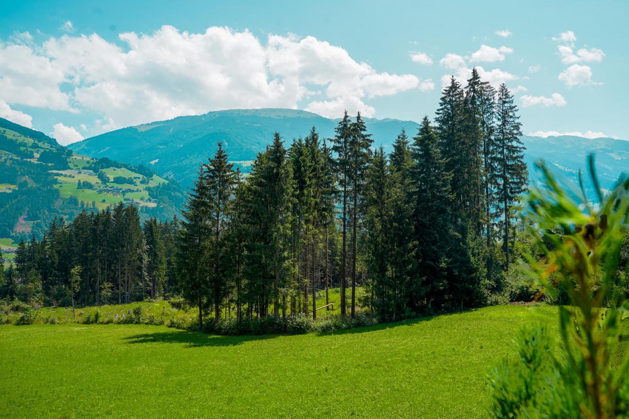 Chalet Wildruh Ried im Zillertal Kültér fotó