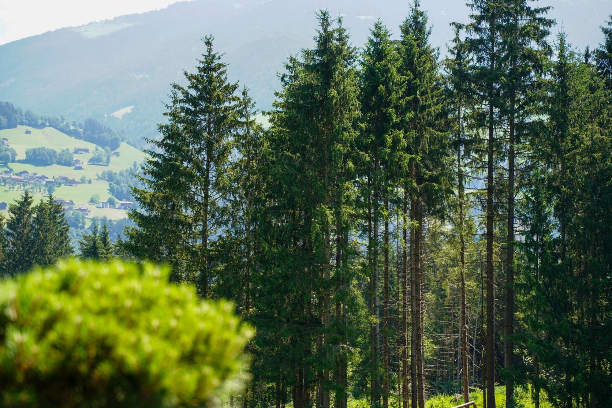 Chalet Wildruh Ried im Zillertal Kültér fotó